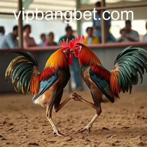 Security and Trust Bangbet - International Licenses and Certifications