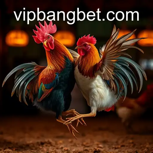 Security and Trust Bangbet - International Licenses and Certifications