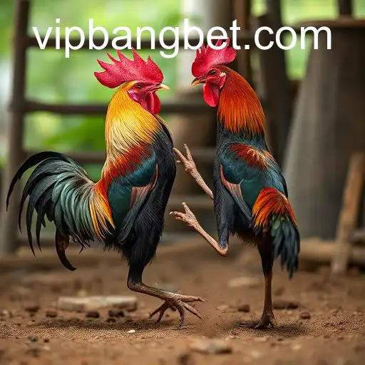 Security and Trust Bangbet - International Licenses and Certifications